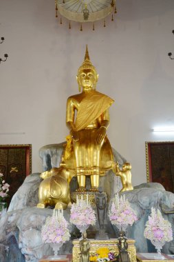 Wat Pho 'da birden fazla altın Budha var. Bangkok 'taki en büyük ve en eski tapınaklardan biridir ve Tayland ve yabancı turistler arasında popülerdir. Tayland 'ın Bangkok başkentinde yer alıyor..