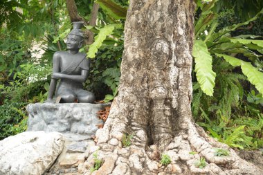 Wat Phra Chetuphon Wimon Mangkhalaram ya da Wat Pho 'da masaj terapisi pozu veren bir münzevi heykeli. Burası Tayland masajıyla ünlüdür. Tayland 'ın Bangkok başkentinde yer alıyor..