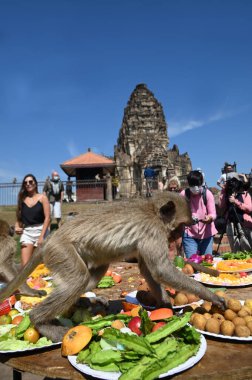 LOPBURI, THAILAND - 28 Kasım 2022: Maymunlar, Phra Prang Sam Yod Tapınağı 'ndaki Maymun Partisi' nde teşekkür etmek için getirdikleri yerel meyve, sebze, salata, yumurta, tatlı yemeyi seviyorlar..