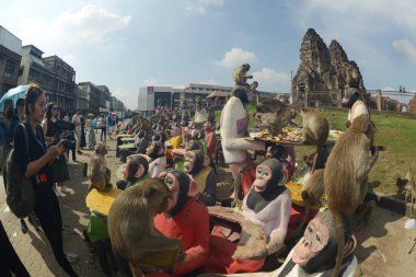 LOPBURI, THAILAND - 27 Kasım 2022: Maymunlar yerel meyve, sebze, salata, yumurta, tatlı yemeyi seviyor ki bu da insanları Phra Prang Sam Yod Tapınağı 'ndaki Maymun Partisi' nde teşekkür etmeye getiriyor..
