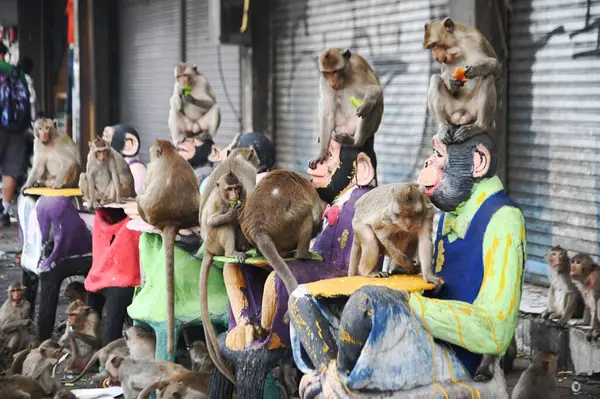 Maymunlar yerel meyve, sebze, salata, yumurta yemeyi seviyor. Bu da insanları Phra Prang Sam Yod Tapınağı 'ndaki Maymun partisinde teşekkür etmeye getiriyor. Lopburi şehri..