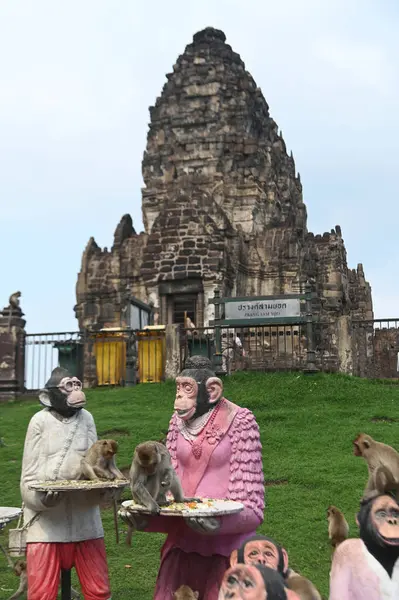 LOPBURI, THAILAND - 27 Kasım 2022: Maymunlar yerel meyve, sebze, salata, yumurta, tatlı yemeyi seviyor ki bu da insanları Phra Prang Sam Yod Tapınağı 'ndaki Maymun Partisi' nde teşekkür etmeye getiriyor..