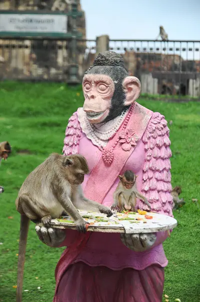 Maymunlar yerel meyve, sebze, salata, yumurta yemeyi seviyor. Bu da insanları Phra Prang Sam Yod Tapınağı 'ndaki Maymun partisinde teşekkür etmeye getiriyor. Lopburi şehri..