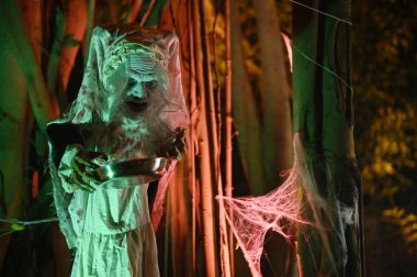 CHACHOENGSAO, THAILAND - 31 Ekim 2024: Korkunç Cadı gece Somdej Phra Srinakarin parkında ikinci Cadılar Bayramı etkinliğine geldi.