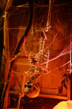 CHACHOENGSAO, THAILAND - 31 Ekim 2024: Korkunç hayalet iskeletleri Somdej Phra Srinakarin parkındaki 2. Cadılar Bayramı etkinliğinde ortaya çıktı.