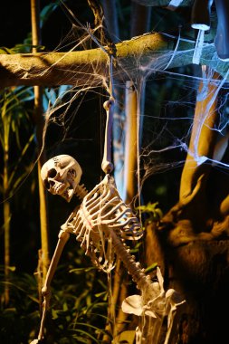 Korkunç hayalet iskeletleri Somdej Phra Srinakarin parkındaki 2. cadılar bayramı etkinliğinde ortaya çıkıyor..