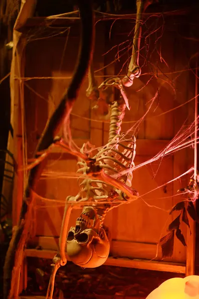 CHACHOENGSAO, THAILAND - 31 Ekim 2024: Korkunç hayalet iskeletleri Somdej Phra Srinakarin parkındaki 2. Cadılar Bayramı etkinliğinde ortaya çıktı.