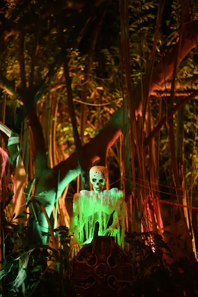 CHACHOENGSAO, THAILAND - 31 Ekim 2024: Korkunç hayalet iskeletleri Somdej Phra Srinakarin parkındaki 2. Cadılar Bayramı etkinliğinde ortaya çıktı.