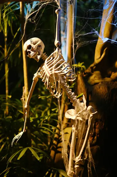 Korkunç hayalet iskeletleri Somdej Phra Srinakarin parkındaki 2. cadılar bayramı etkinliğinde ortaya çıkıyor..