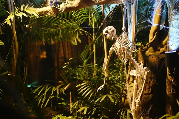 Korkunç hayalet iskeletleri Somdej Phra Srinakarin parkındaki 2. cadılar bayramı etkinliğinde ortaya çıkıyor..