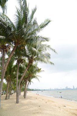 Kratinglai plajı dinlenmek için güzel bir plaj. Beyaz kumlu plajı olan bir sahil yolu. Kumsal bölgesi hindistan cevizi ağaçlarından gölgeli. Kumsalın kendisi temiz ve yüzmek için uygundur. Tayland 'ın Chon Buri eyaletinde yer almaktadır..