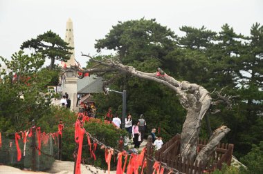 SHAANXI, ÇİN - 20 Haziran 2023: 