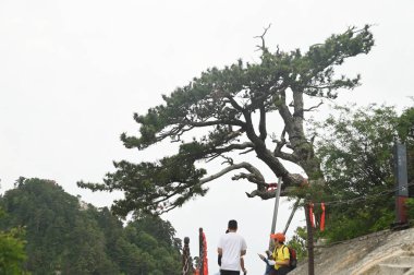 SHAANXI, ÇİN - 20 Haziran 2023: Huashan Dağı 'nda yürüyen tanımlanamayan turistler Çin' deki Beş Kutsal Dağdan biridir ve dik ve tehlikeli yolları nedeniyle dünyanın en tehlikeli dağ yollarından biridir..