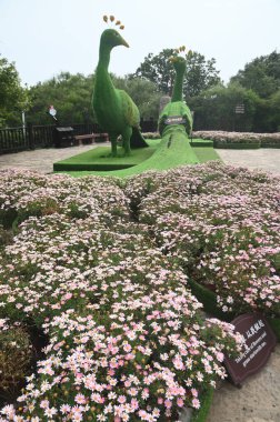 Çiçek bahçesi ve Çin 'in Henan Eyaleti' ndeki en güzel jeopark olan Yuntaishan Park 'taki bir Budist tapınağının önünde iki tavus kuşu heykeli..