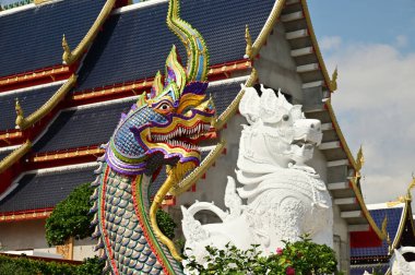 Tayland sanatında hayvan olan Naga ve Singha heykelleri, Wat Den Sali Mueang Kaen tapınağındaki ibadet salonu ve şapelin önünü dekore eder. Tayland 'ın Cheng Mai şehrinde yer almaktadır..