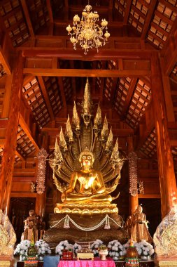 Altın rengi Buda heykeli ve Wat Den Sali Mueang Kaen tapınağındaki Budist Tayland Kilisesi 'nin arkasında bir yılan var. Tayland 'daki Chiang Mai şehrinde..