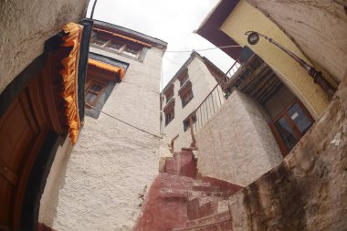 Spituk Manastırı (ayrıca Spituk Gompa veya Petup Gompa olarak da bilinir), Hindistan 'ın Leh ilçesinde Leh şehrinden yaklaşık 8 kilometre uzaklıkta bulunan bir Budist manastırı. Spituk Manastırı nefes kesici manzaralarıyla ünlüdür..