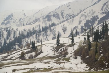 Gulmarg 'ın güzel manzarası, Kaşmir, Hindistan, gerçek doğal güzelliği ile dünyada ünlüdür..
