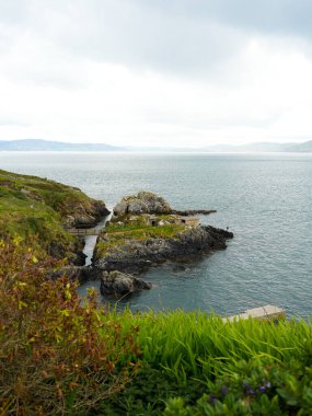 Kırsal İrlanda 'daki yamaçlar ve çimenler