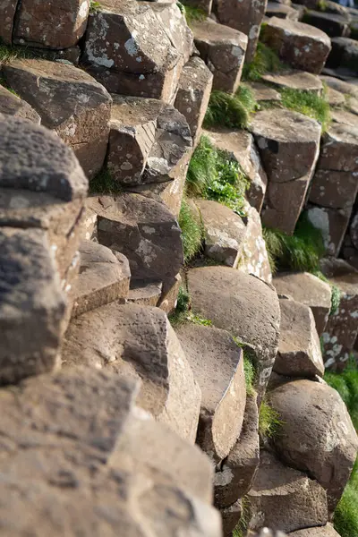 stock image Close-up view of the iconic hexagonal basalt columns of Giants Causeway in Northern Ireland, rock pattern.