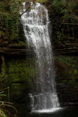 Sakin ve sakin bir şelale zarif bir şekilde pürüzsüz kayaların üzerinde dalgalanır, parlak yeşil yapraklarla kaplanır.