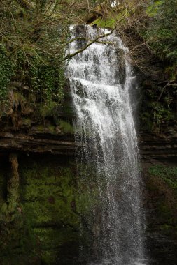 Huzurlu bir şelale zarif bir şekilde serin bir havuza dökülüyor, canlı ve gür yapraklarla güzelce çerçevelenmiş.