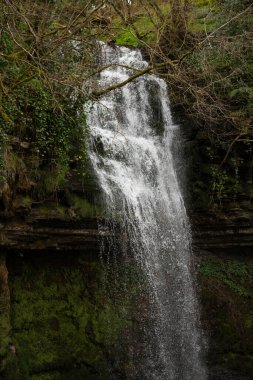 Güzel bir şelale kristal gibi berrak bir havuza dökülüyor, çevrenin çevresine canlı, yemyeşil bir çerçeve çiziliyor.