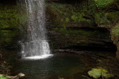 Huzurlu bir şelale, sakin ve sakin bir havuza dökülüyor. Canlı ve yemyeşil bir havuza kurulmuş.