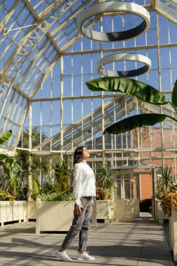 Bereketli bitkiler ve renkli çiçeklerle dolu sakin bir sera, hepsi parlak, sıcak güneş ışığının tadını çıkarıyor.