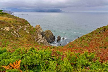 Kayalık kayalıklar ve okyanus manzaralı bir sahil manzarası. Ön plan yemyeşil ve eğreltiotu ile süslenirken, arka plan bulutlu bir gökyüzünü ve uzak dağları gösteriyor. Dalgalar yavaşça kayalara çarpar ve sakin bir atmosfer yaratır..