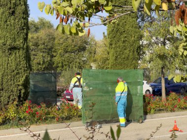 Park ve bahçe işçileri düzenli olarak fazla dalları buduyor.
