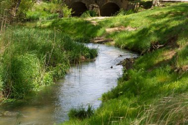 Küçük bir nehrin akan suları bir köprünün altında kıvrılır, yemyeşil otlarla çevrili, ilkbahar doğasının sükunetini somutlaştırır.