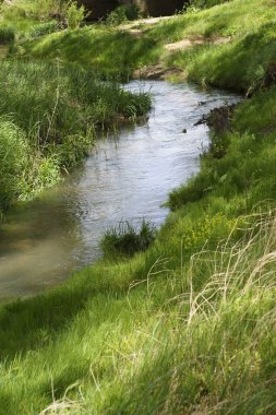Güneşli bir günde yemyeşil çimlerin arasından akan küçük bir nehir büyüleyici bir köprü oluşturur.