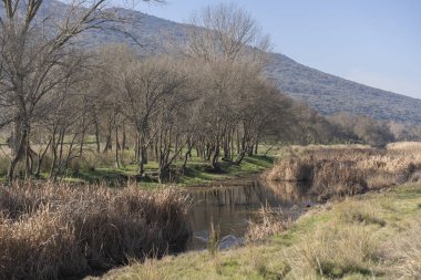 Güneşli bir kış gününde kurak kamışları ve çıplak ağaçlarıyla nehir kıyısında akan sakin bir nehir.