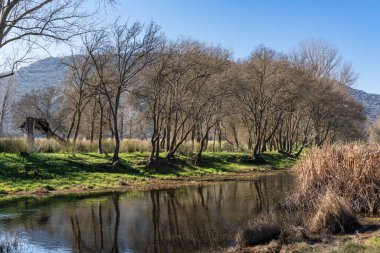 Güneşli bir kış gününde nehir suyuna yansıyan çıplak ağaçlar huzurlu ve manzaralı bir manzara yaratıyor.