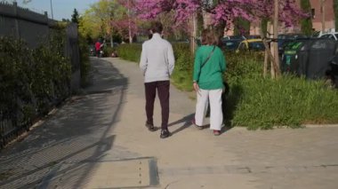 Küçük siyah köpeği kaldırımda gezdirirken aile bağları, güneşli bahar günlerinde açık havada eğlenmek.