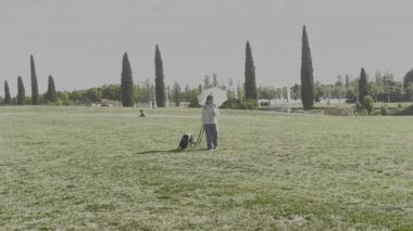 Kadın tasmalı siyah köpek, elinde koruyucu güneş şemsiyesi, Madrid yakınlarındaki yeşil Juan Carlos I parkında güneşli vakit geçiriyor.