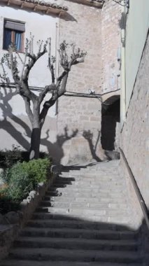 Pürüzsüz kamera hareketi İspanya 'nın Kretas kentinin pitoresk bir köşesinde budanmış bir ağaç ve bir anıt gösteriyor.
