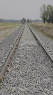 Güneş ışığı, İspanya 'nın Quintana Redonda kentindeki ağaçların yapraklarından süzülerek barışçıl bir atmosfer yaratır.