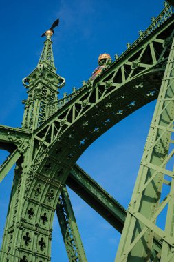Budapeşte 'nin sembolik simgelerinden biri olan Liberty Köprüsü, karmaşık demir işçiliği ve dikkate değer yeşil bir renge sahiptir. Bu köprü, Tuna Nehri boyunca Buda ve Pest 'i birbirine bağlıyor ve şehrin ve tarihi alanların çarpıcı manzarasını sağlıyor..