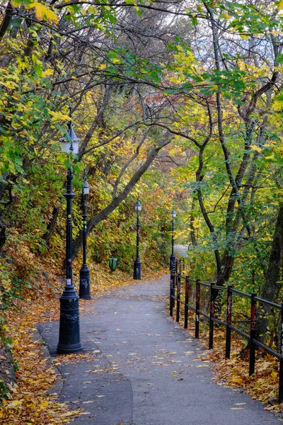 Huzurlu bir patika, uçlarında elektrik direkleri olan ve zemini kaplayan yaprakları olan canlı sonbahar yaprakları arasından esiyor. Bu ortam, doğa aşıkları için mükemmel, huzurlu bir ortamda gezintiye davet ediyor. Gellert Tepesi, Budapeşte, Macaristan.