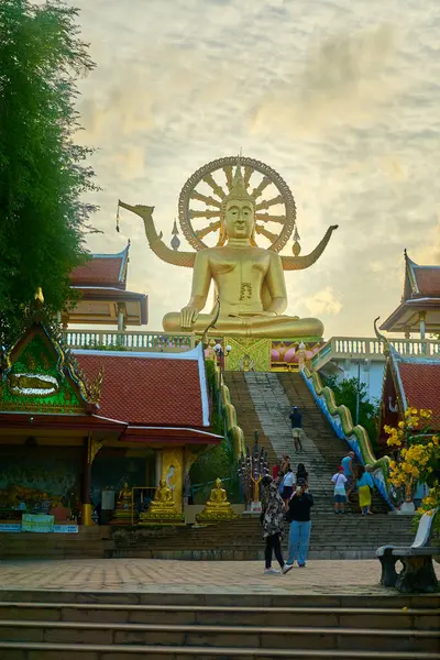 Koh Samui 'nin simgesel simgelerinden Büyük Buda' da 12 metre uzunluğunda altın bir heykel bulunur. Ziyaretçiler büyüleyici manzaranın tadını çıkarmak ve bu ruhsal alanın huzurlu atmosferini yaşamak için merdivenleri çıkıyorlar..