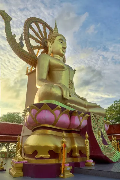 Nilüfer kaidesi üzerine yerleştirilmiş görkemli bir altın Buda heykeli, canlı renkler ve karmaşık tasarımlarla çevrili. Bu ikonik simge, Tayland 'ın Koh Samui kentindeki Wat Phra Yai' de bölgenin zengin kültürel mirasını gözler önüne seriyor..