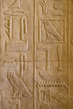 Bu resim, çeşitli sembol ve kuşları tasvir eden eski Mısır hiyerogliflerinin karmaşık oymalarını içerir. Detaylı tasarımlar, antik Mısır 'da kullanılan sanatsal ve iletişim yöntemlerini gözler önüne seriyor..