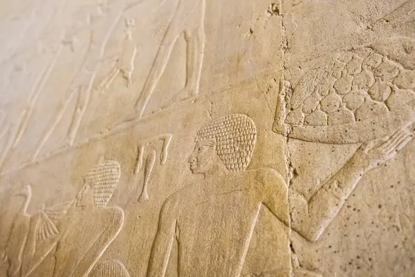 Antik Mısır hiyerogliflerinin taştan bir duvara kazınmış, tarihsel bir bağlamda insan ve hayvan figürleri sergilenen karmaşık bir gösterisi. Bu sanat eseri antik Mısır 'ın zengin kültürel mirasını yansıtıyor..