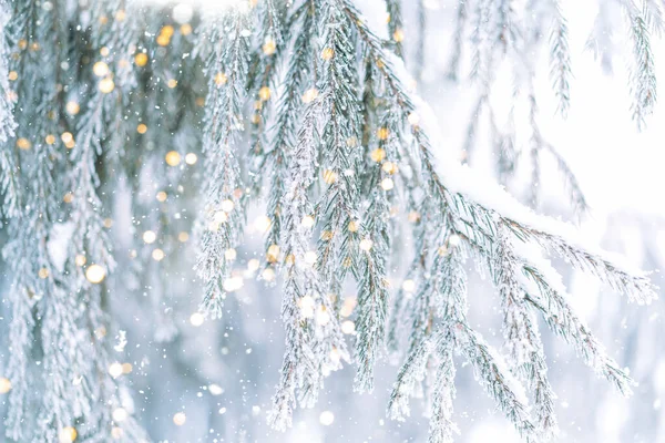 Zasněžené Větve Vánočních Stromků Světly Girland Proti Padajícímu Sněhu — Stock fotografie