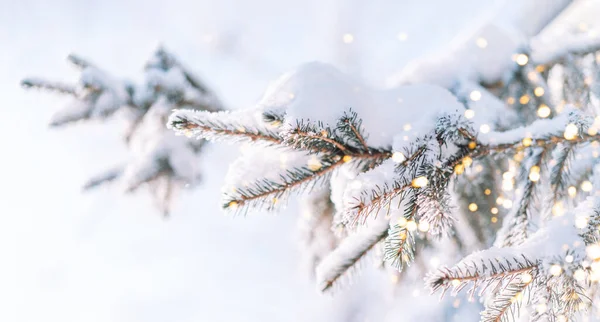 Fora Ramo Árvore Natal Com Bonés Neve Frente Luzes Guirlandas — Fotografia de Stock