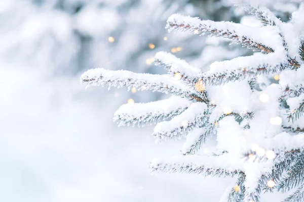 Livre Ramo Árvore Natal Com Bonés Neve Frente Luzes Guirlandas — Fotografia de Stock