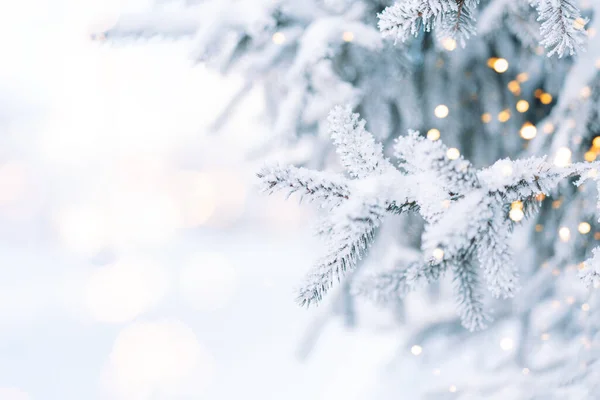 Livre Árvore Natal Fundo Neve Com Luzes Árvore — Fotografia de Stock