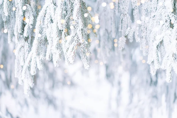 Szabadtéri Karácsonyfa Hóban Háttér Fények — Stock Fotó